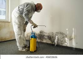 Mold Remediation for Rental Properties in Jacksonville, TX